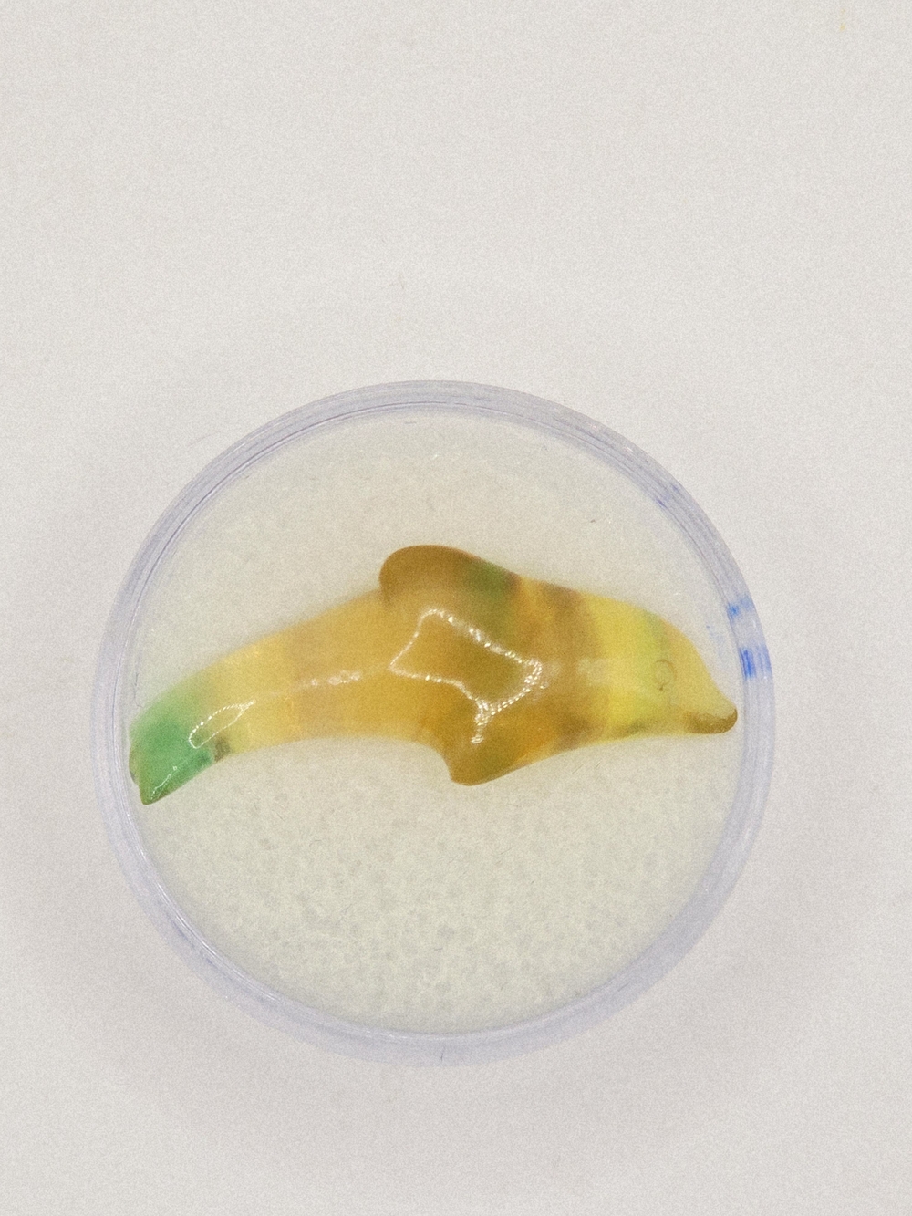 Yellow And Green Flourite Dolphin Carving
